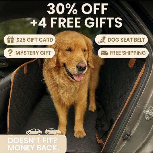 ComfyCruiser - Hard Extended Bottom Dog Car Cover