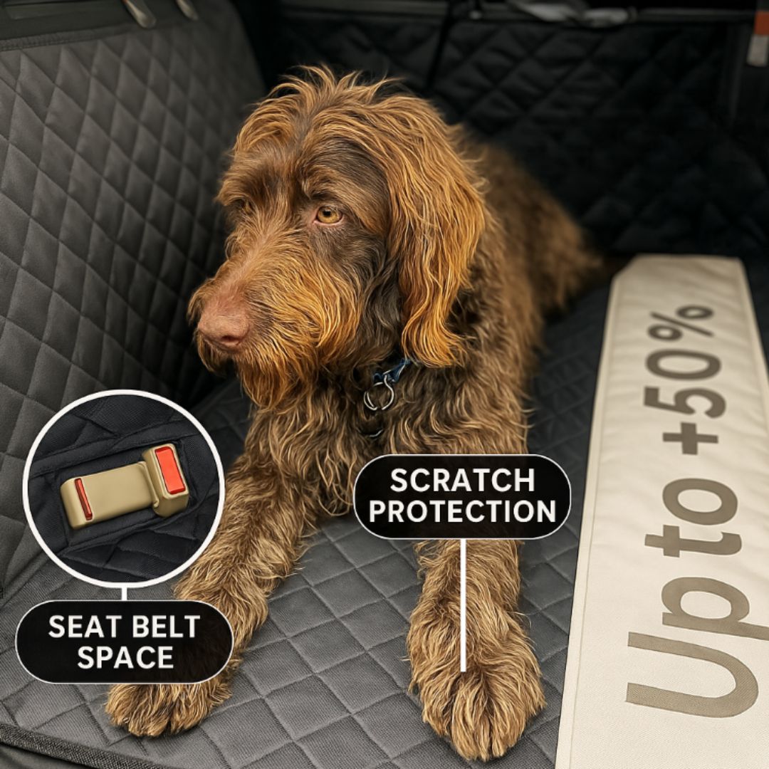 ComfyCruiser - Hard Extended Bottom Dog Car Cover